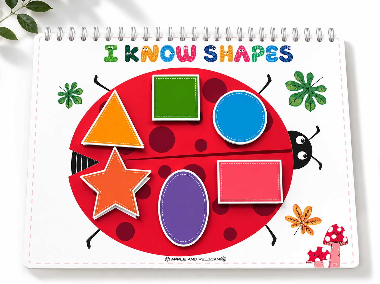 Number  busy book -edition 2
