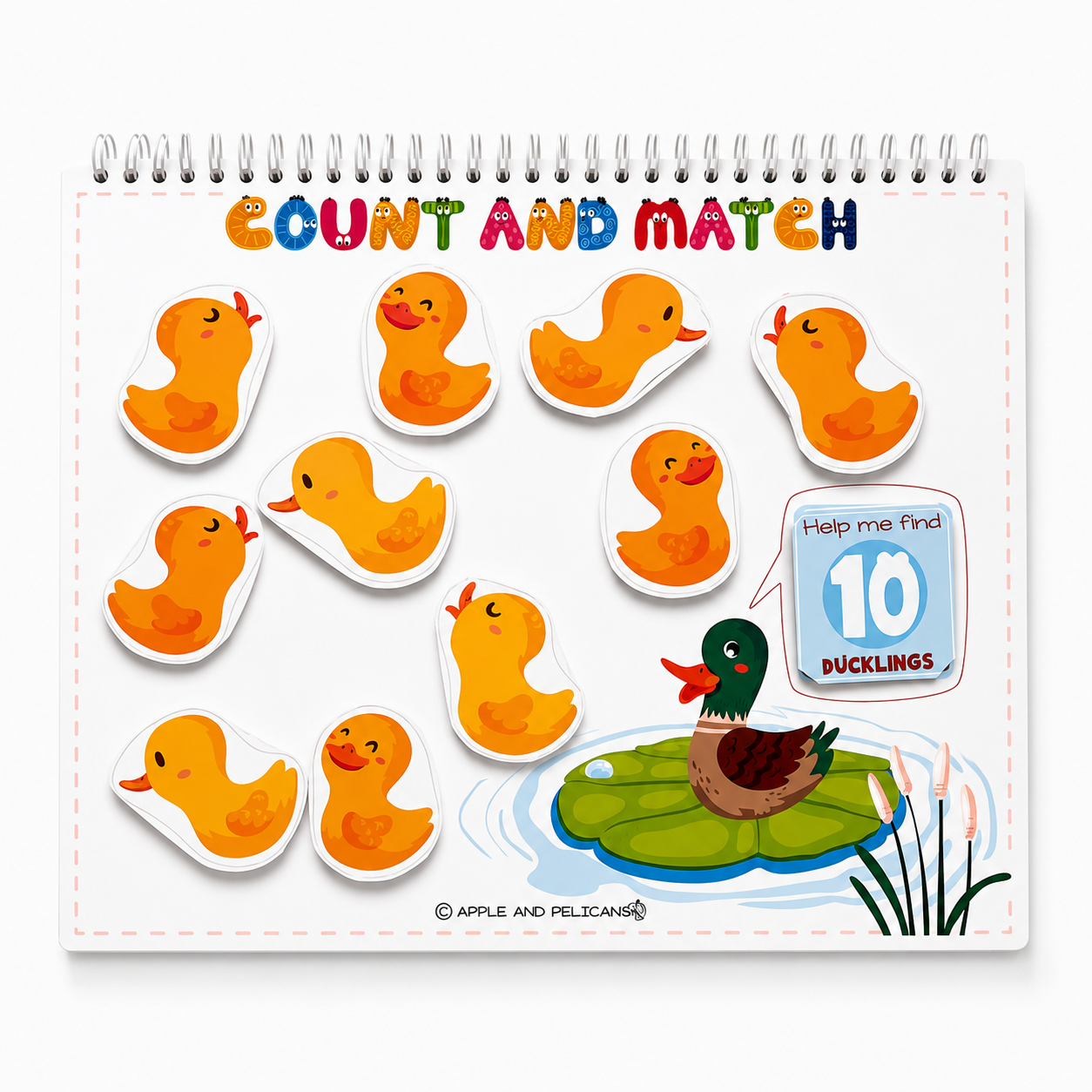 Number  busy book -edition 2